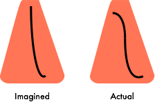Diagrams of actual septum shape and assumed septum shape